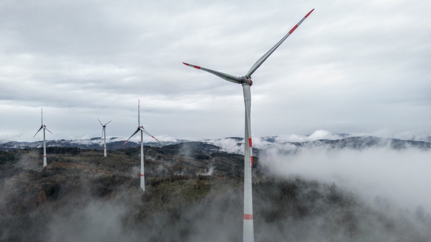Windpark im Wald