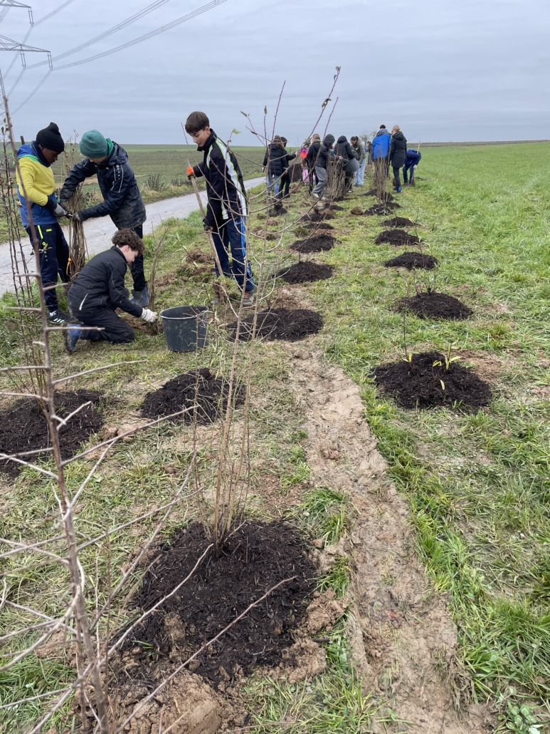 20251128_Plfanzaktion_OB Holaschke_Christoph Moessinger_Schulleiter Ulrich Mueller (5)