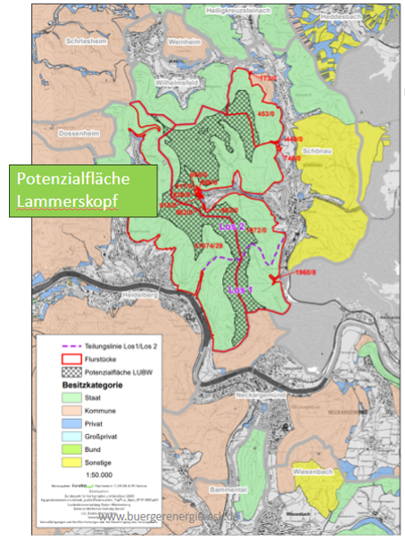 Screenshot 2026-02-13 112412